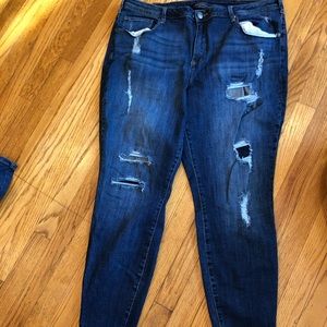 Lane Bryant Jeans